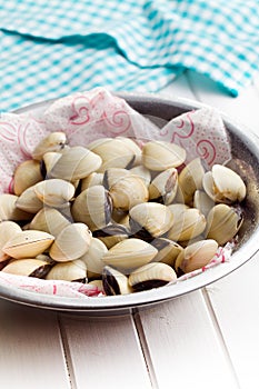 Raw clams in bowl
