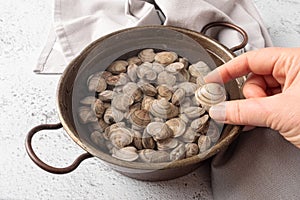 Raw clams