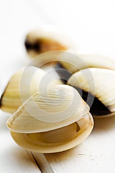 Raw clams