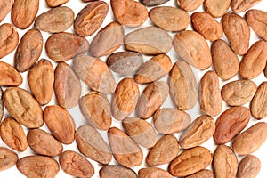 Raw cocoa beans pattern isolated