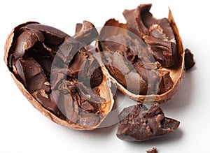 Raw cocoa beans photo