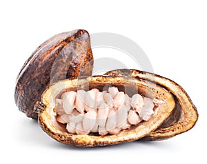 Raw cocoa pod and beans on a white