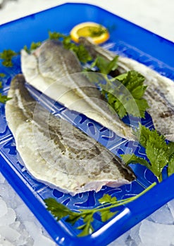 Raw cod fillet