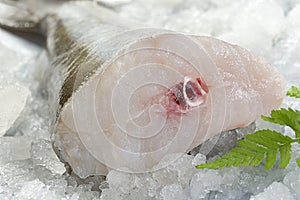 Raw cod fish fillets