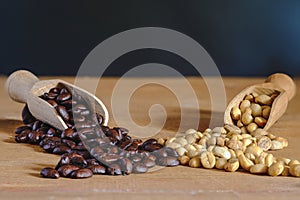 Raw coffee bean and roasters coffee bean