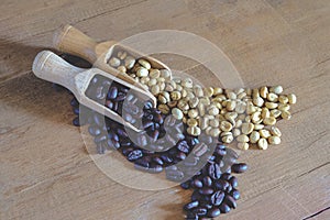 Raw coffee bean and roasters coffee bean in wood spoon photo