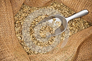 Raw coffee beans