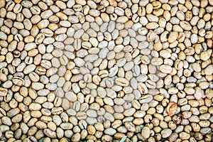 Raw coffee beans