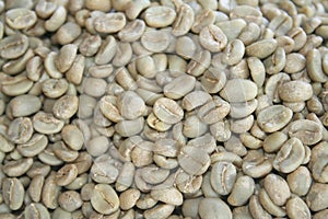 Raw coffee beans have been sorted,Good quality coffee beans export to foreign countries