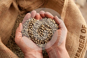 Raw coffee beans holding in hands - heart - coffeelover