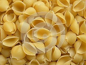 Raw Conchiglie rigate