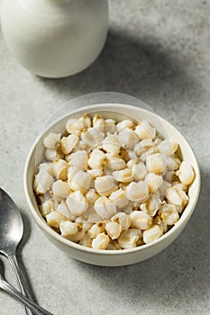 Raw Cooked White Mexican Hominy Corn