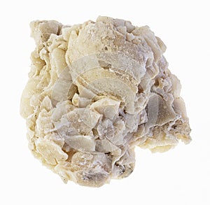 raw coquina limestone stone on white