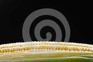 Crudo maíz dulce en. maíz dulce el núcleo sobre un fondo negro. ángulo 