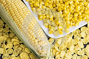 Raw corn cob, and cornflakes. Close up