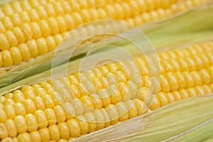 Raw corn cob macro