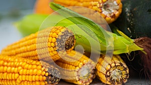 Raw corn cobs, vegetarianism and healthy eating