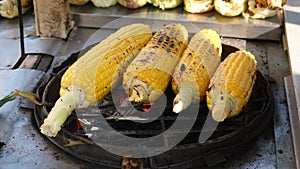 Raw corn is cooking on the grill