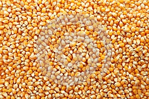 Raw corn kernels as background