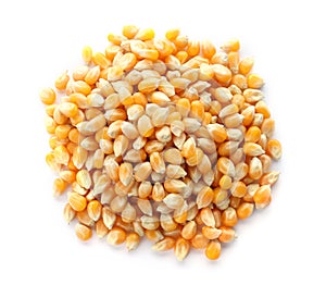 Raw corn kernels on white background