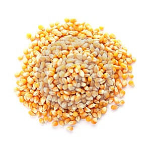 Raw corn kernels on white background