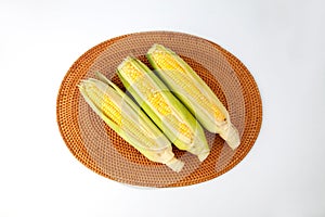 raw corn maize cob isolated on white background