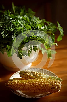 Raw corn is on a plate and a bunch of parsley