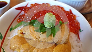 Raw creamy Sea urchin and salmon roe over rice donburi Japanese famous Hokkaido seafood food