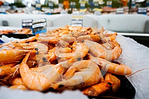 Raw crevettes at market stall counter photo