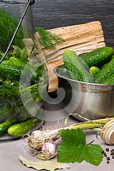 raw cucumbers for pickling. Fresh cucumbers ready for canning with dill,currant leaf, pepper, garlic and spices on grey backgroud,