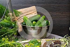 raw cucumbers for pickling. Fresh cucumbers ready for canning with dill,currant leaf, pepper, garlic and spices on grey backgroud,