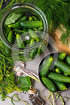 raw cucumbers for pickling. Fresh cucumbers ready for canning with dill,currant leaf, pepper, garlic and spices on grey backgroud,