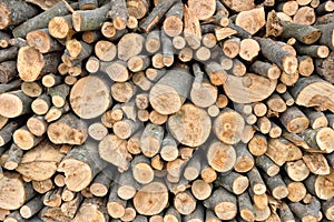 Raw debarked wood logs in a lumber staging and storage yard. Raw timber stacked