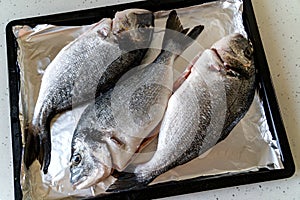 Raw Dorada Fish on a Baking Tray. Cooking fish at home