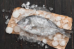Raw dorada fish or gilt-head bream on ice over black wooden background, flat lay, top view.
