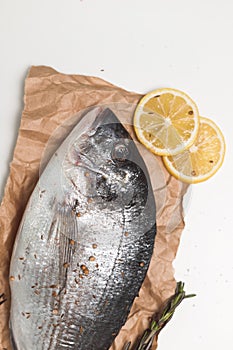 Raw dorada fish or gilt-head bream over white background, flat lay, top view