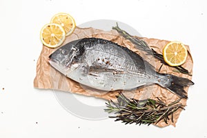 Raw dorada fish or gilt-head bream on paper over white background, flat lay, top view