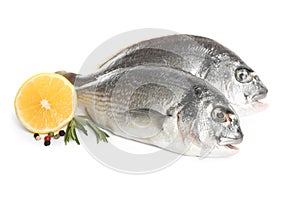 Raw dorada fish with lemon and spices isolated