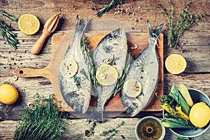 Raw dorado fish with ingredients, lemon, herbs, oil, vegetables and spices on wooden cutting board over wood background