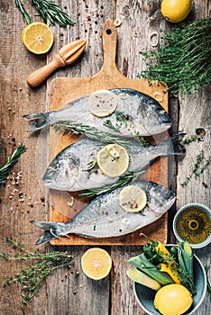 Raw dorado fish with ingredients, lemon, herbs, oil, vegetables and spices on wooden cutting board over wood background