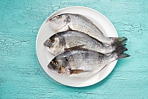 Raw dorado fish on white plate on blue background. Top view