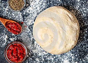 Raw dough preparation or pizza with ingredient: tomato sauce, spices. Flat lay style