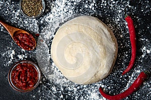 Raw dough preparation or pizza with ingredient: tomato sauce. Spicy sauce for pizza. Flat lay style