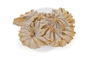 Raw dried stingray radiating circular fish on white background
