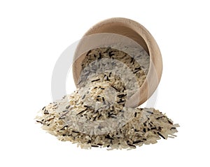 Raw Dry Black Wild Rice and Parboiled White Rice Isolated