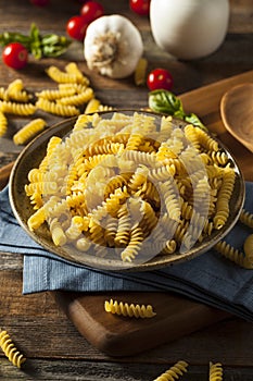 Raw Dry Organic Fusilli Pasta