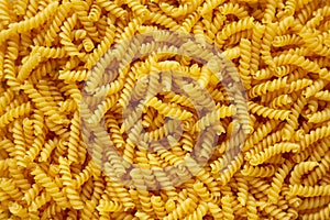 Raw Dry Organic Rotini Pasta Ready to Cook