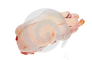 Raw duck