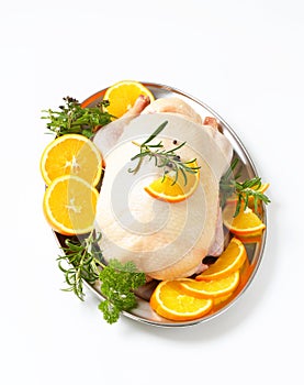 Raw duck with orange slices and herbs on tray