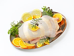 Raw duck with orange slices and herbs on tray